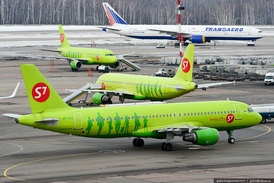Обзор авиакомпании S7 Airlines - TAXIMUS - Аренда минивэна с водителем в Москве - фото 12